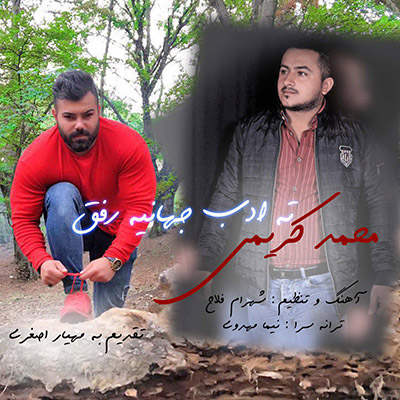 محمد کریمی ته ادب جهانیه